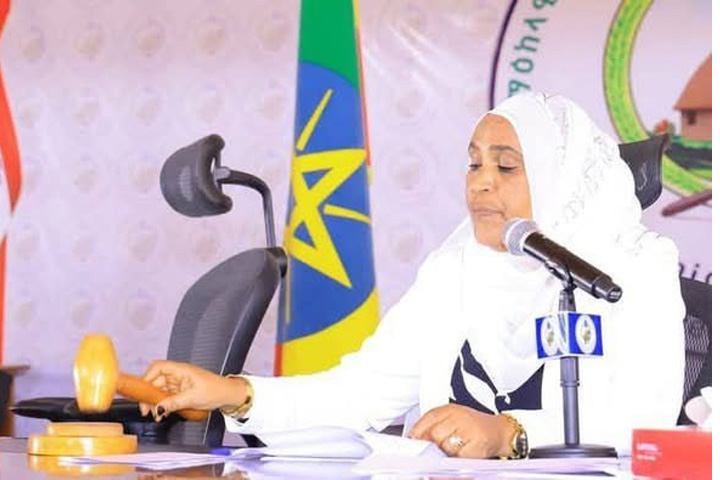 ምክር ቤቱ የወ/ሮ ልክነሽ ስርገማን ሹመት በማጽደቅ ጉባኤውን አጠናቀቀ።