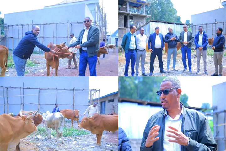 በህዝቦች መካከል አብሮነትን በማጠናከር የጋራ ተጠቃሚነትን ማጎልበት እንደሚገባ ተመላከተ