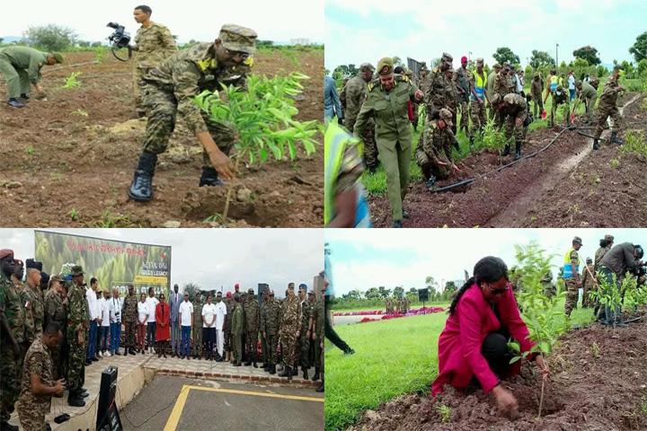 መከላከያ ሠራዊት አረንጓዴ ዐሻራን ባህል የማድረግ ሥራውን አጠናክሮ ይቀጥላል፦ ፊልድ ማርሻል ብርሃኑ ጁላ