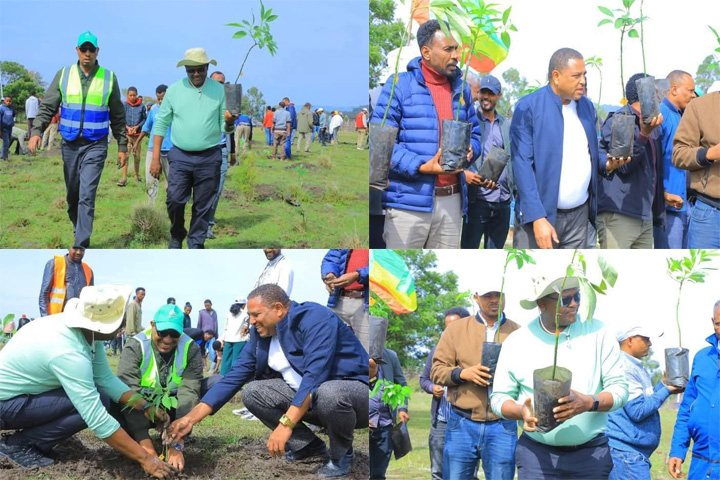 የምስራቅ ጉራጌ  ዞን የ2017 ዞናዊ የአረንጓዴ አሻራ መርሃ ግብር በሶዶ ወረዳ ጢያ ከተማ "በመትከል ማንሰራራት"  በሚል መሪ  ቃል የችግኝ ተከላ  እየተካሄደ ነው::
