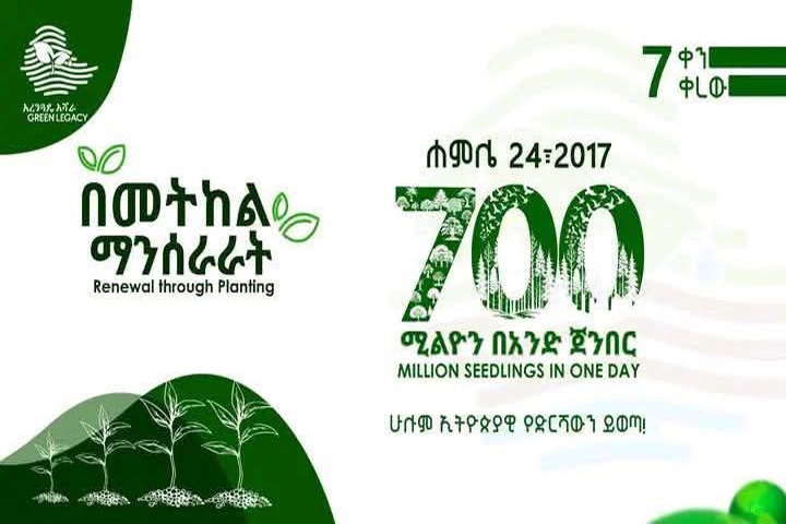 ሐምሌ 24 ቀን 2017 ዓ.ም 700 ሚሊየን ችግኝ በአንድ ጀንበር። እንዘጋጅ!