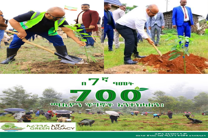ርዕሰ መስተዳድር እንዳሻው ጣሰው (ዶ/ር)ነገ ሐምሌ 24/2017 በመትከል ማንሰራራት  በሚል መሪ ሀሳብ በሚካሔደው የችግኝ ተከላ መርሐ ግብር ላይ የክልሉ ህዝብ የላቀ ተሳትፎ እንዲያደርግ ጥሪ አቀረቡ