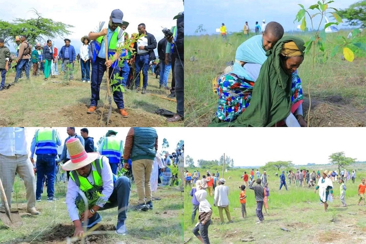 ርዕሰ መስተዳድር እንዳሻዉ ጣሰዉ (ዶ/ር) በሀላባ ዞን  የአንድ ጀንበር የአረንጓዴ አሻራ መርሐ ግብር አስጀመሩ