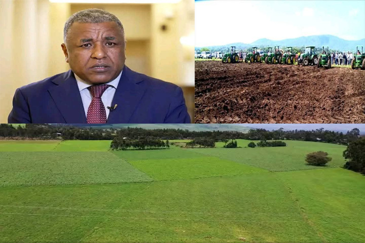 በመኸር እርሻ እስካሁን 7 ሚሊየን ሄክታር በዘር ተሸፍኗል::
