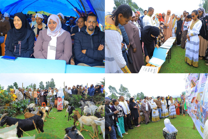 የሴቶችና ህፃናትን ሁለንተናዊ ተጠቃሚነት ለማረጋገጥ በቅንጅት መስራት ያስፋልጋል -  ወ/ሮ ሂክማ ከይረዲን