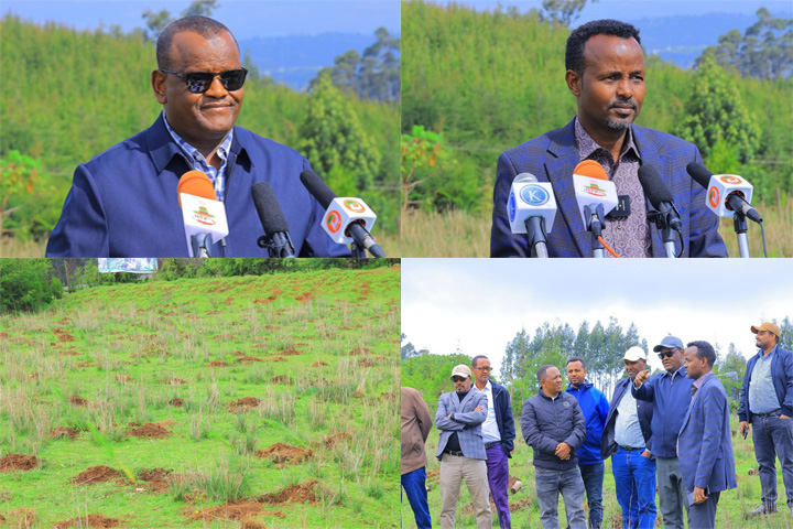 በክልሉ ከ500 ሚሊየን በላይ ችግኞች ለመትከል የቅድመ ዝግጅት ስራ ተጠናቋል